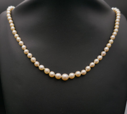 Collier De Perles De Culture En Chute, Fermoir Et Chaînette De Sécurité, 18 Carats.