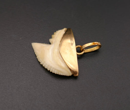 Pendentif porte bonheur dent de requin, or 18 carats.
