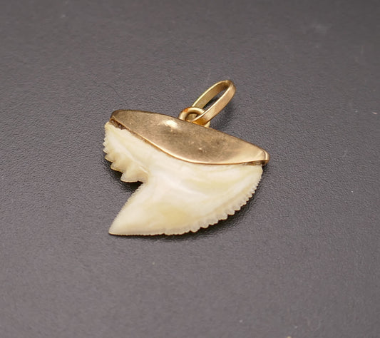 Pendentif porte bonheur dent de requin, or 18 carats.