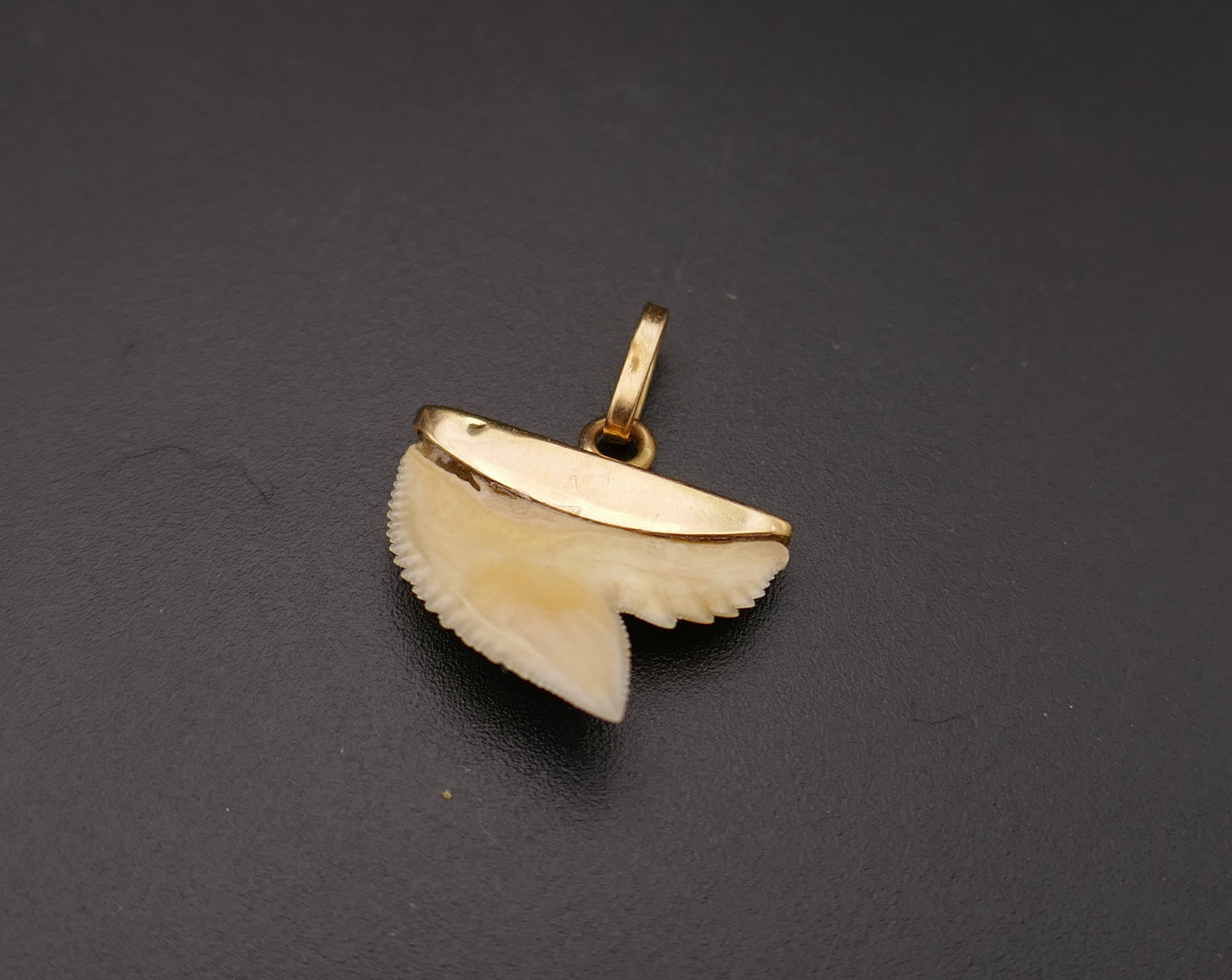 Pendentif porte bonheur dent de requin, or 18 carats.