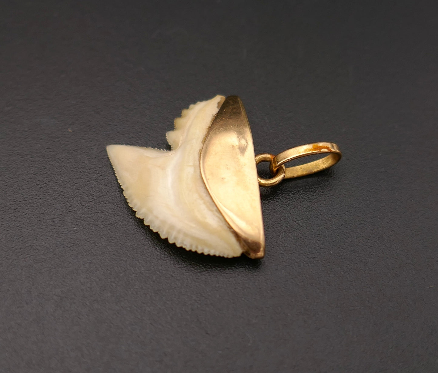 Pendentif porte bonheur dent de requin, or 18 carats.