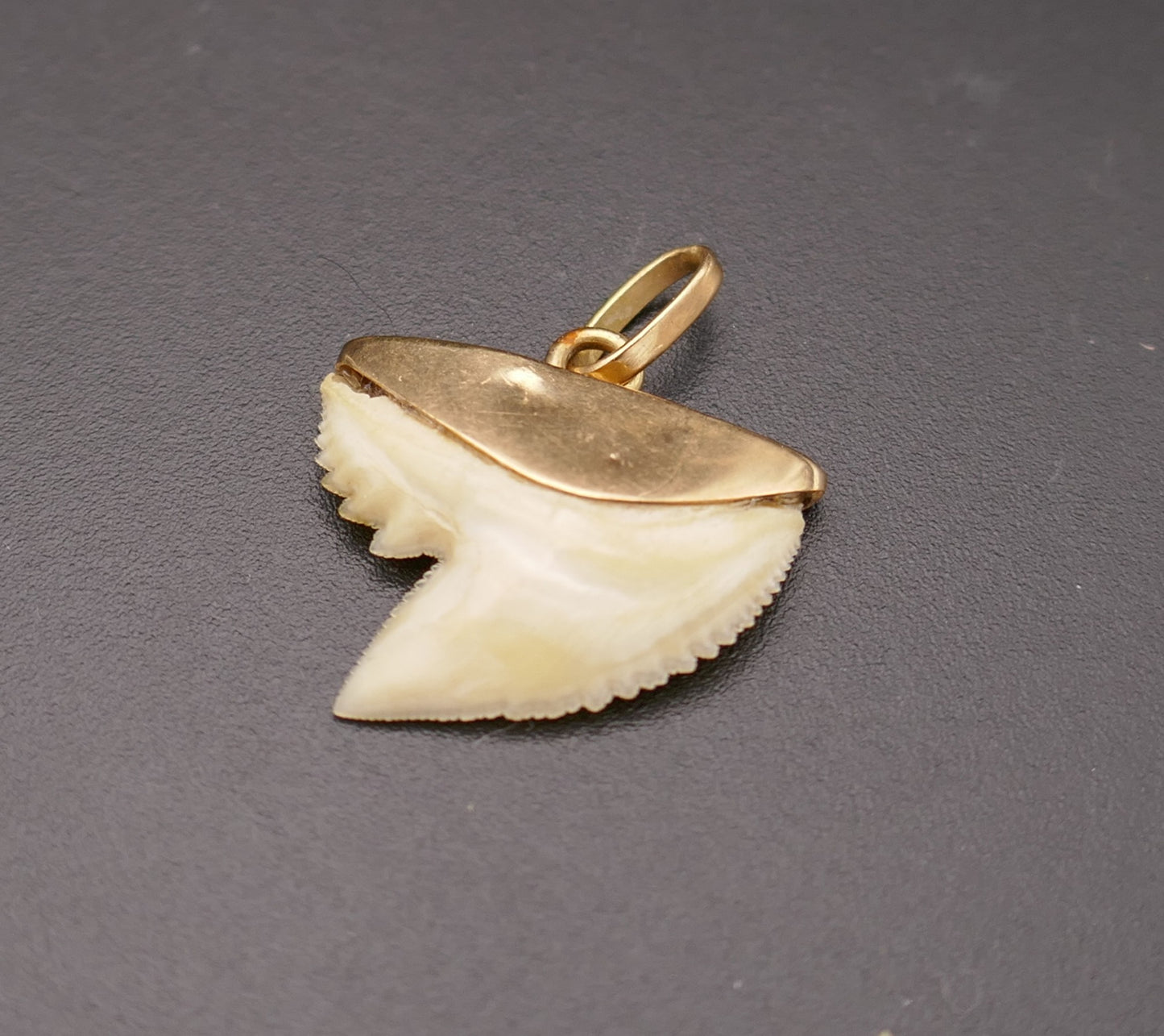 Pendentif porte bonheur dent de requin, or 18 carats.