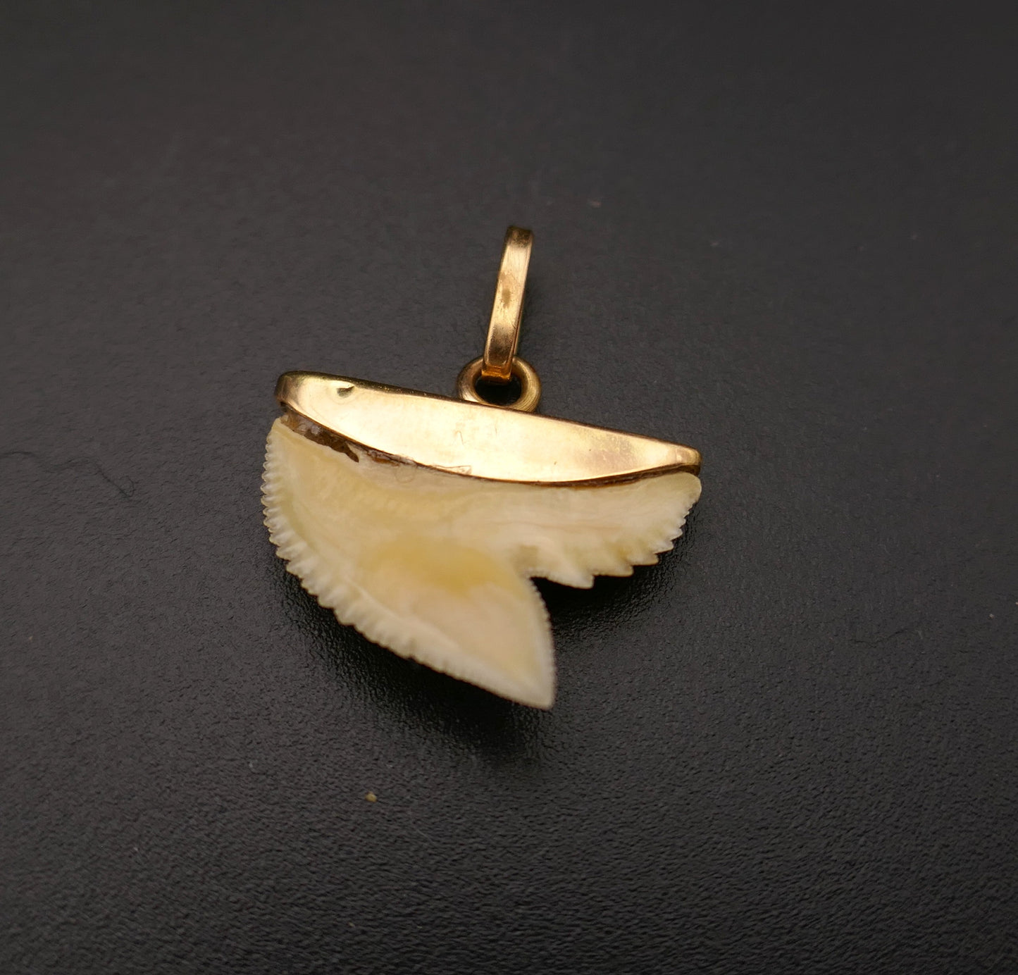 Pendentif porte bonheur dent de requin, or 18 carats.